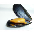 Delicious Fresh Frozen Blue Mussel Fresh frozen blue mussel Factory